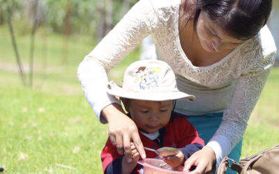 Día Mundial de la Alimentación